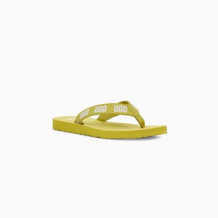 UGG Graphic Light Green Sandals for Women (ISAO29837)